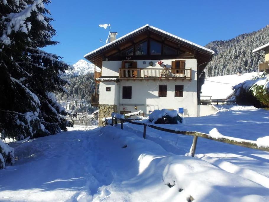 Casa Bernard Zortea Vanoi Cuore Verde Del Trentino Каналь-Сан-Бово Екстер'єр фото